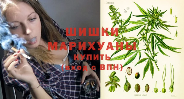 соль курить ск Новозыбков