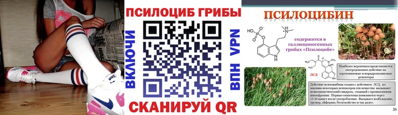 kraken ТОР  Янаул  Галлюциногенные грибы мицелий 